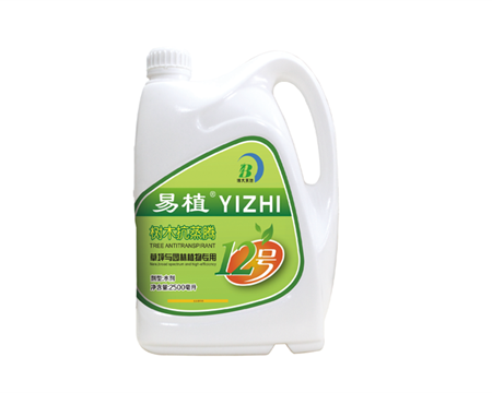易植12号 树木抗蒸腾